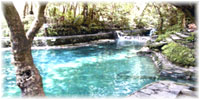 Ardent Hot Spring